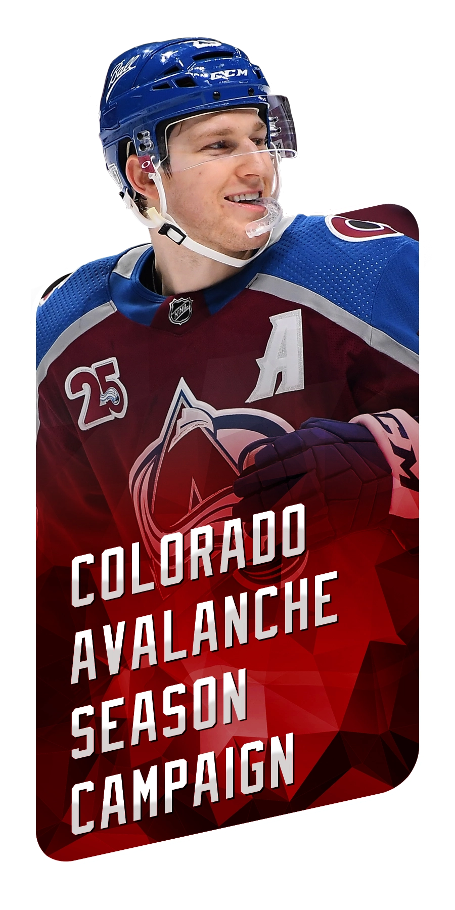 Colorado Avalanche Portfolio