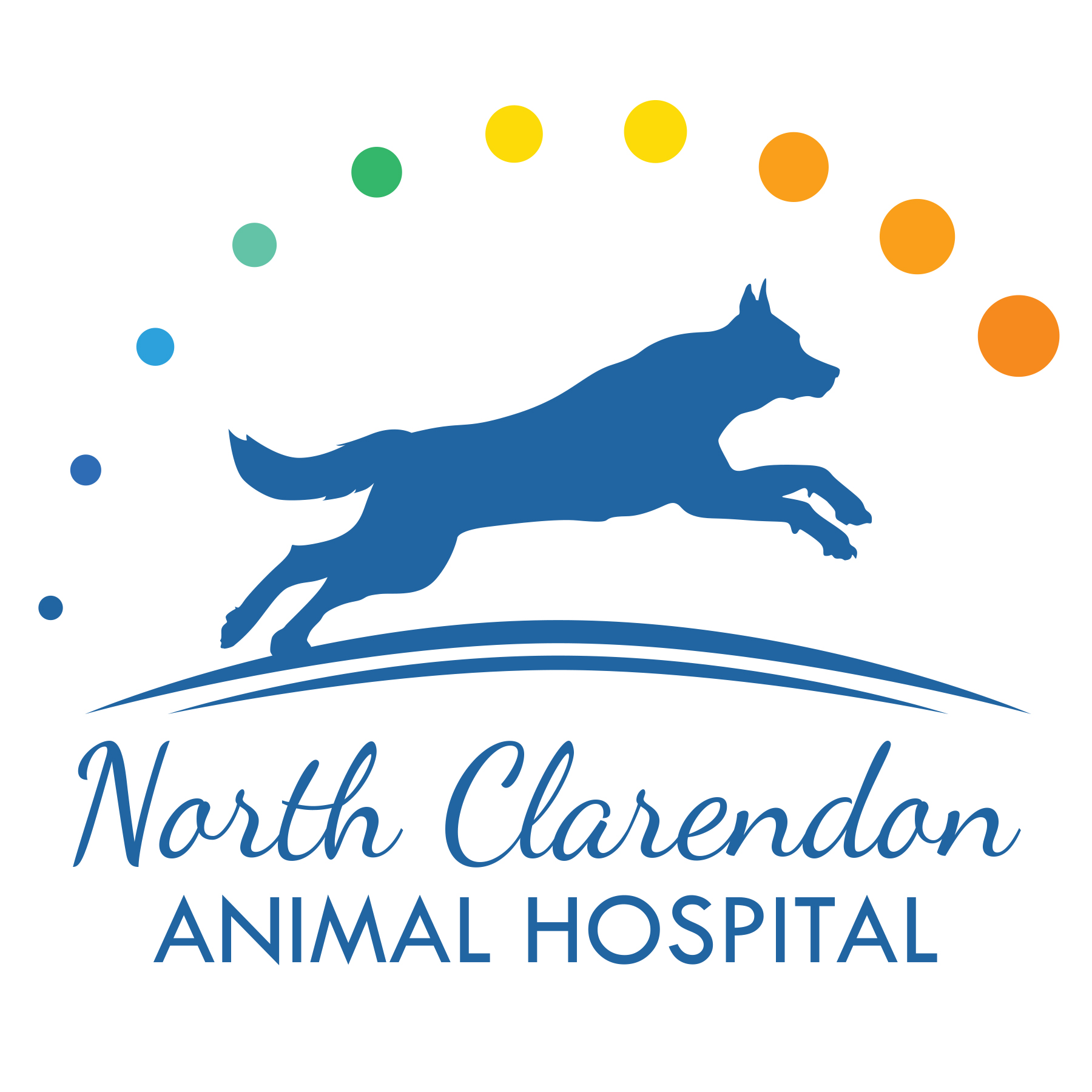 The main logo for the North Clarendon Animal Hospital, which features a dog in blue running and chasing an orange ball leaving a trail behind it, arching over the dog. The words North Clarendon Animal Hospital are below the dog.