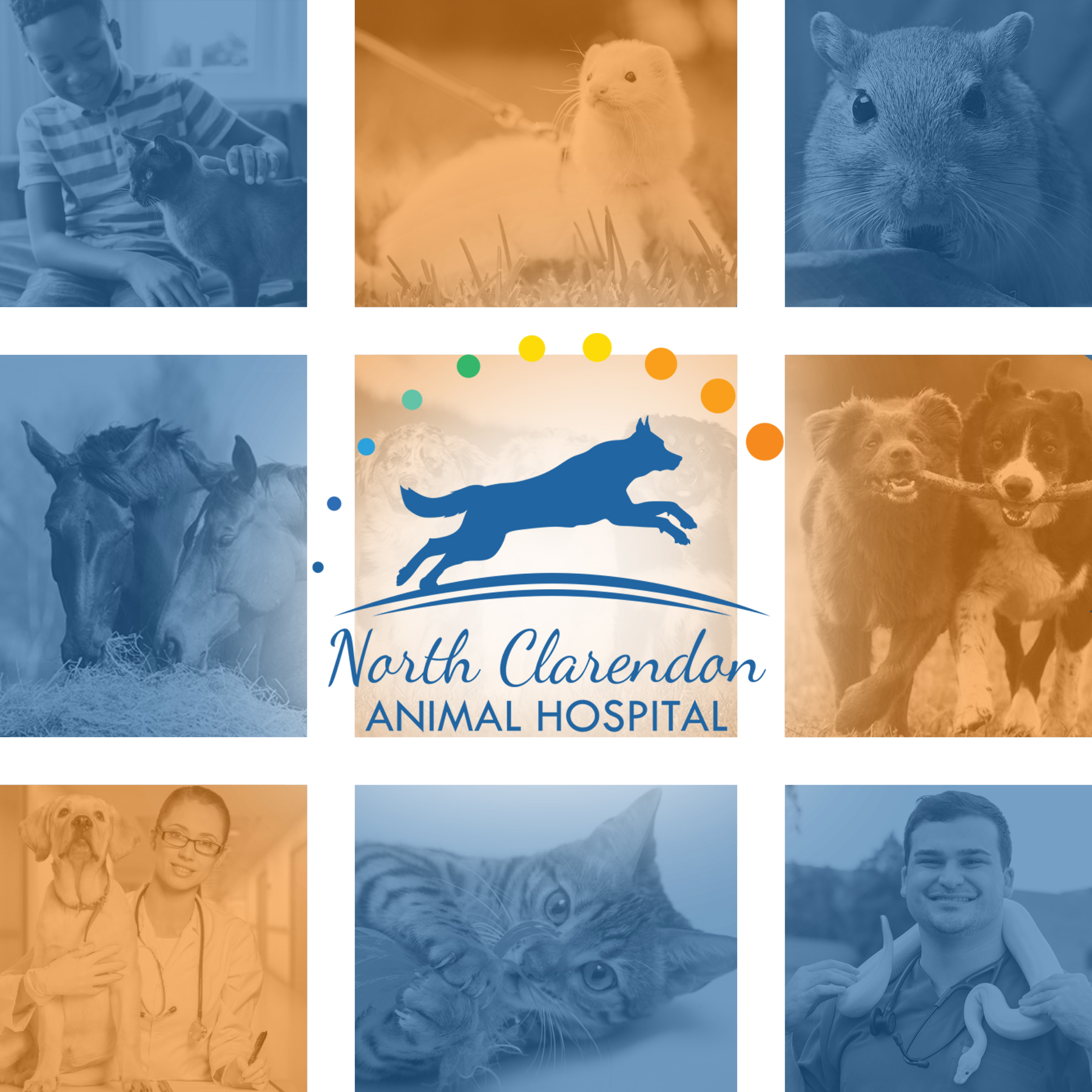 A mosaic of several animals on blue and orange swuares with the North Clarendon's logo on front.